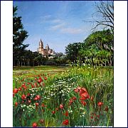 AMAPOLAS  EN SALAMANCA 